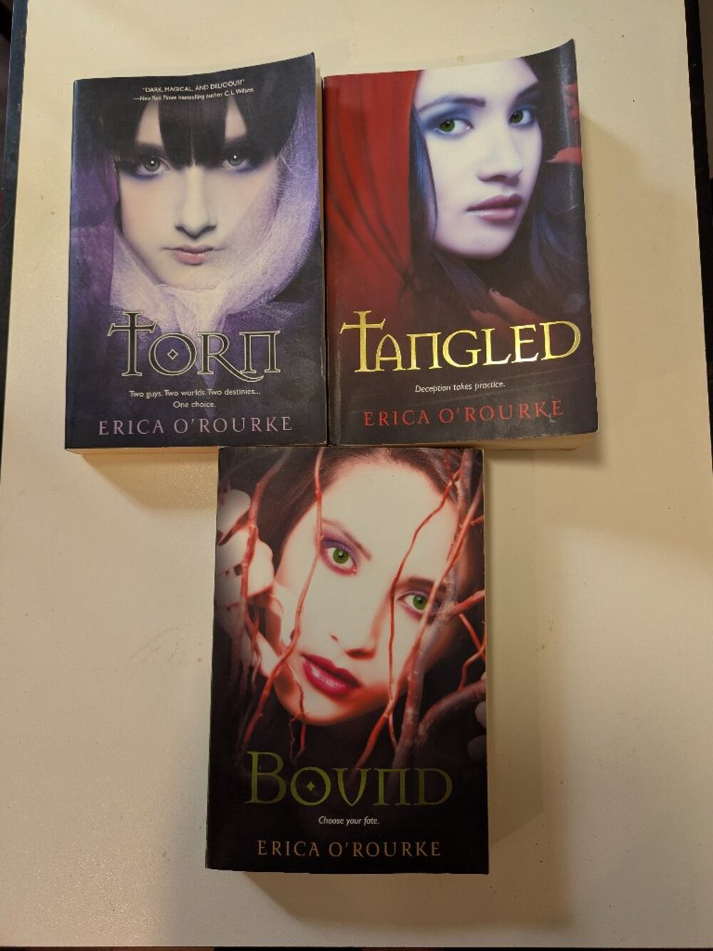 Torn Trilogy by Erica O'Rourke - COMPLETE SERIES